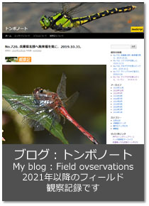 uOFg{m[g My blog : Field Ovservations