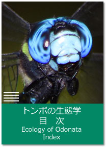 g{̐Ԋwڎ Ecology of Odonata : Index