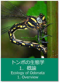 g{̐Ԋw 1.T_ Ecology of Odonata : 1. Overview