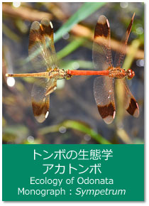 g{̐Ԋw mOtFAJg{ Ecology of Odonata : Monograph. Sympetrum
