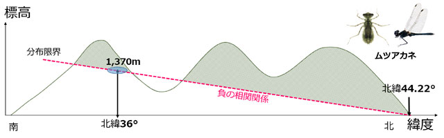 �W����ܓx�̈Ⴂ�ɂ�镪�z�̐��������x�ɂ����̂ƍl�����Ƃ��C���z���E�͕��̑��֊֌W�ƂȂ�