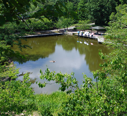 神戸市の奥須磨公園にある小松池