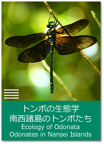 쐼̃g{ Ecology of Odonata : Odonates in Nansei Islands